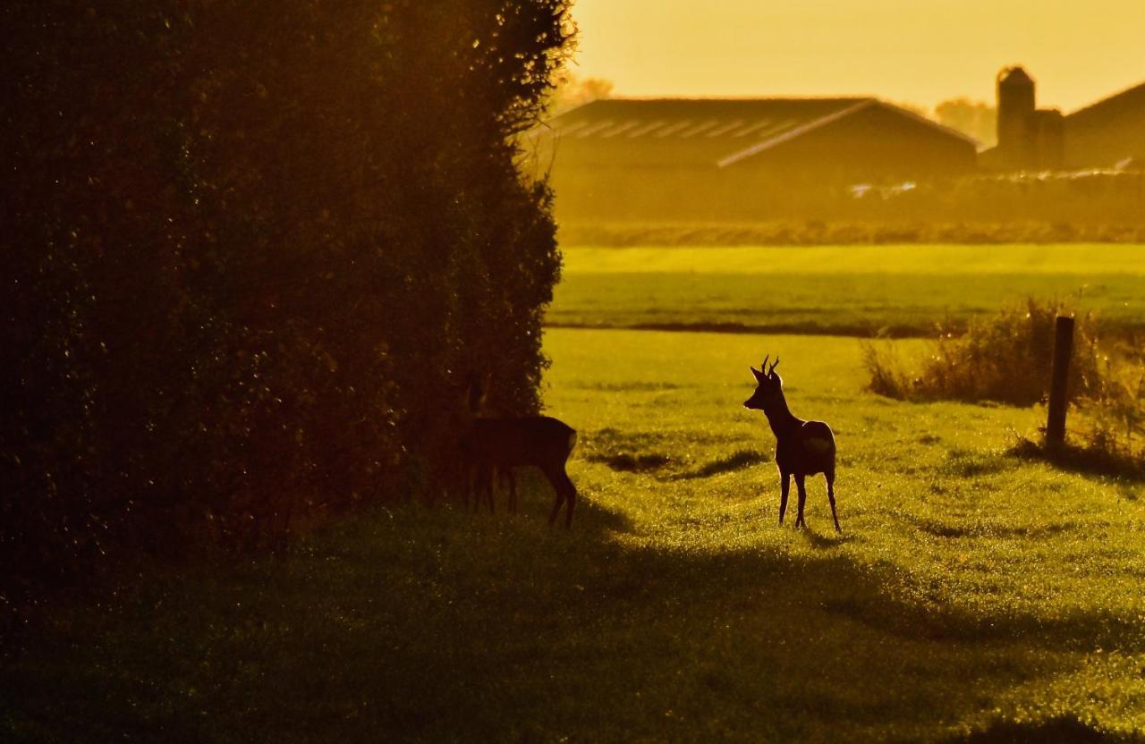 Het Melkhuis Op Prachtig Landgoed Koepeltjesplaats Gaast Extérieur photo