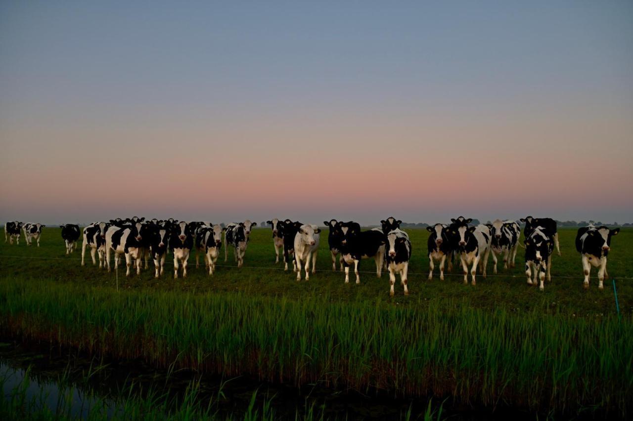 Het Melkhuis Op Prachtig Landgoed Koepeltjesplaats Gaast Extérieur photo