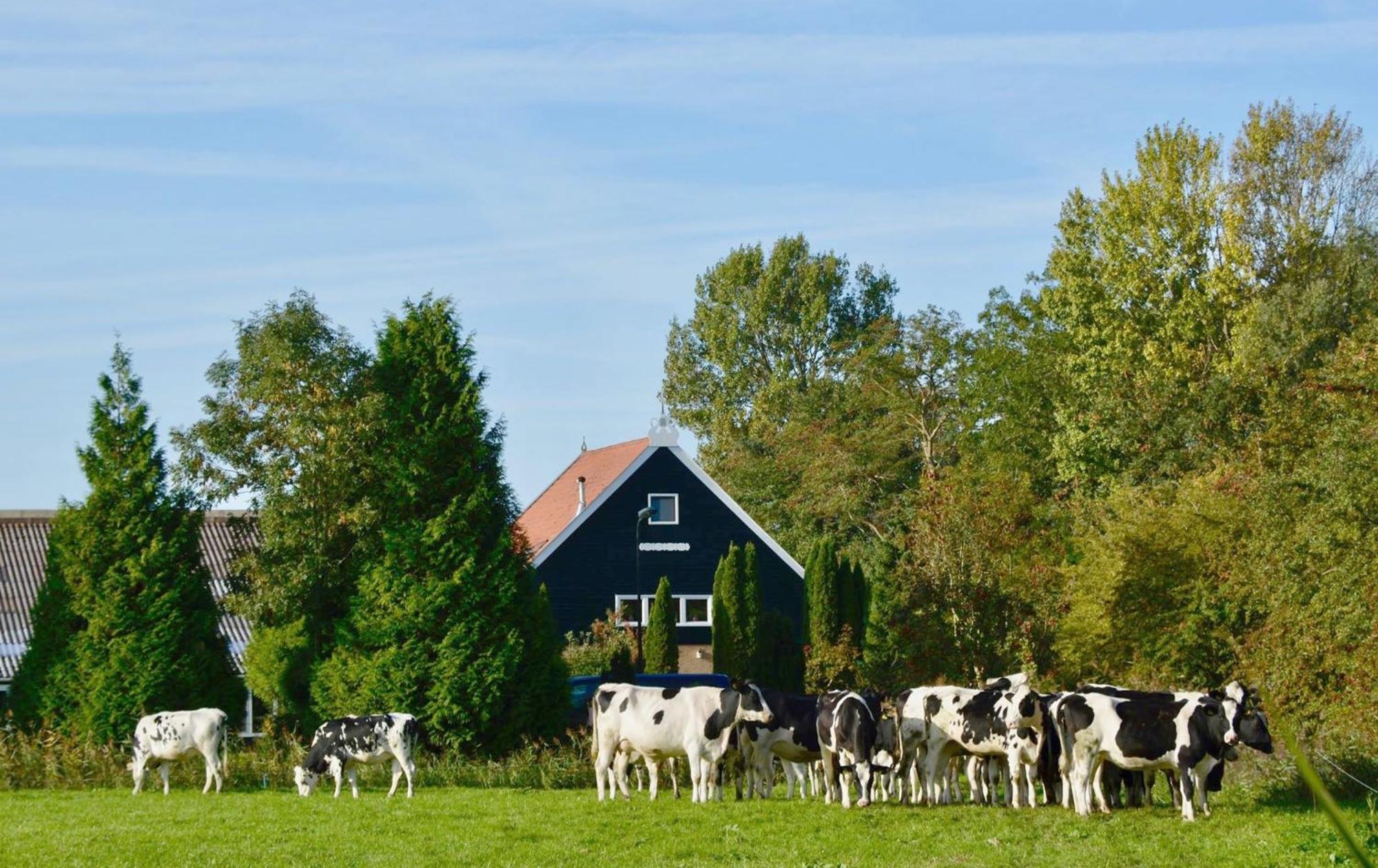 Het Melkhuis Op Prachtig Landgoed Koepeltjesplaats Gaast Extérieur photo